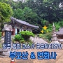 청주 근교 사찰 연화사 + 힐링 등산 코스 부모산