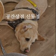 [수원카페] 공간상점 신동점 :: 수원 신동카페거리 강아지가 있는 아늑한 카페