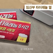 임산부 타이레놀 열 두통 감기 사용법