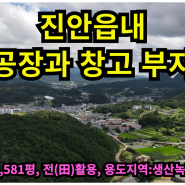 진안군 진안읍 공장부지,진안읍 창고 부지,진안읍 공장 및 창고 토지,진안읍내 공장 토지,진안읍 창고 토지, 진안읍 근린생활시설 토지.