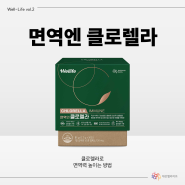 면역력 높이는데 도움 줄 수 있어요! 대상 클로렐라 원료 추천하는 이유