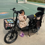 모토벨로 G7 엄마 전기자전거 유아안장 설치 6개월 후기