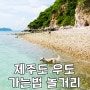 제주도 우도 배시간표 가는법 놀거리 볼거리 반응 좋은 맛집 후기!