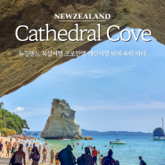 뉴질랜드 북섬여행 코로만델 캐시드럴 코브 Cathedral Cove 해안지형 세계 46위 바다