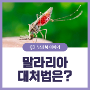 말라리아 모기 대처법은?(증상, 예방, 치료법)