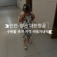 인천-양곤 대한항공 수하물 추가 가격 아동기내식 냉동식품 짐싸기