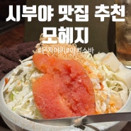[도쿄 여행] 모헤지 시부야점: 짭짤하고 구수한 '몬자야키' 맛집! 메뉴 추천🥄