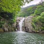 함양 심진동 용추폭포.