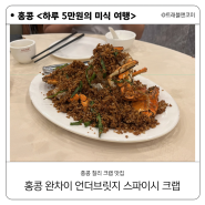 홍콩 완차이 특별한 크랩 맛집 언더브릿지 스파이시 크랩에서의 만찬