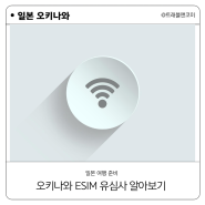 오키나와 여행 유심사 일본 eSim 알아보기!