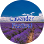 2024 우동구: 라벤더 페스티벌 (Lavender Festival)-여행을 앞둔 우리의 자세