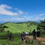 정선 민둥산, 돌리네 : 증산초교 - 급경사로 - 정상 - 돌리네 한바퀴 - 급경사로 - 증산초교