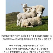 고려시대에 한반도에 많던 양고기가 세종대왕 때 다 사라진 이유