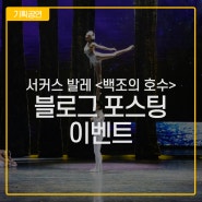 [이벤트] 서커스 발레 <백조의 호수> 블로그 포스팅 이벤트