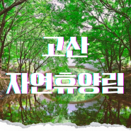 전북 완주 계곡 평상 추천 고산자연휴양림 숲속의집 예약