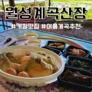 거창 맛집 월성계곡산장 가족끼리 가기 좋은 여름 계곡