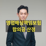 영업배상책임보험 후유장해 합의금 산정방법