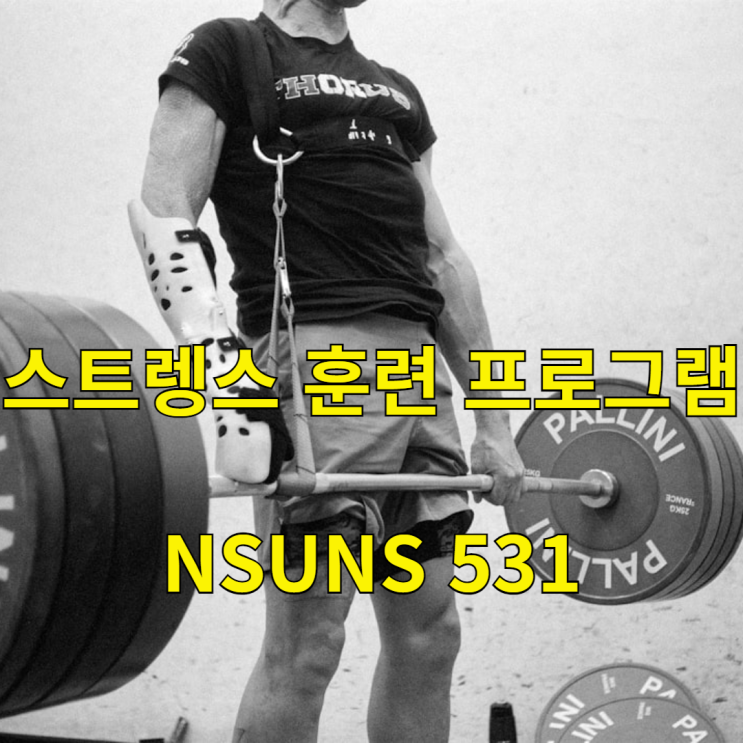 빠른 근육량 및 골격근량 증가를 위한 스트렝스 프로그램 NSUNS 531 운동법 소개 : 네이버 블로그