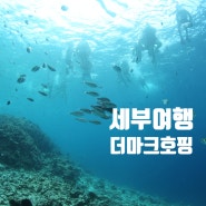 [세부여행] 더마크호핑 : 세부오면 필수코스 호핑! 내돈내산 솔직후기