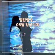 24년_5월 일상기록