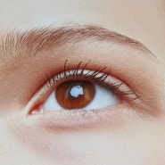 눈 흰자 노란색 또는 핏줄 등 상태별 질환은? 눈에 검은점 혹은 빨간점