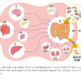 [뿌유할인]장건강의 중요성_ 장은 우리몸의 네트워크 기간이고 장이 건강해야 우리몸의 신진대사가 원활해집니다.