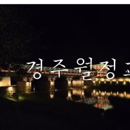 경주 여행 경주 야경 명소 월정교 경주비단벌레차예약