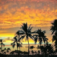 하와이여행시 미국여행자보험 저렴한곳과 자유여행준비물(8월날씨,비행시간,이스타비자,콘센트)
