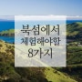 [뉴질랜드 여행] 뉴질랜드 북섬에서 꼭 체험해야 할 8가지