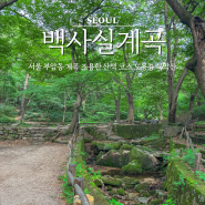 서울 부암동 계곡 조용한 산책 코스 백사실계곡 도룡뇽 북악산