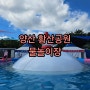양산 황산공원 물놀이장 다녀온 후기 (24.8.1)