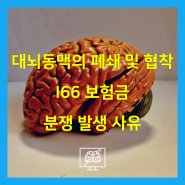 대뇌동맥의 폐쇄 및 협착 I66 보험금 분쟁 발생 사유