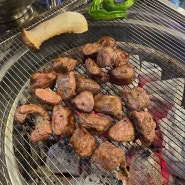 [테크노폴리스 맛집] 쫄깃한 통갈매기살과 밥도둑 돼지갈비 맛집 " 통고기로 "