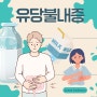 우유만 마시면 꾸룩꾸룩~!! 한국인이 유독 많이 겪는 "유당불내증"의 의미와 증상, 원인,진단방법, 그리고 관리방법/치료/Lactose Intolerance/셀리악병