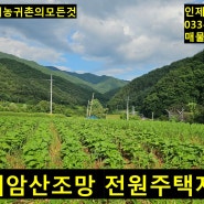 인제 대암산조망 전원주택지 매매