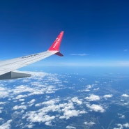 수원한일타운에서 인천공항/ 인천공항에서 수원 한일타운까지 공항 버스 예매하는법