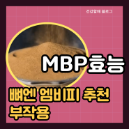 MBP 효능 뼈엔 엠비피 추천 부작용