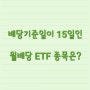 배당기준일이 15일인 월배당 ETF 종목 & 분배금 & 월 분배율