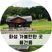 화성 아이랑 가볼만한 곳 융건릉 산책하기 좋아요!