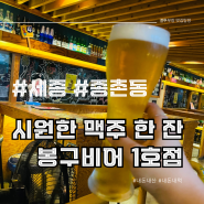 세종시 맥주 한잔 하기 좋은 곳 ‘봉구비어’ / 종촌동 맛집