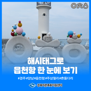 #해시태그와 #파도소리길을 따라 #읍천항 곳곳 둘러보기🌊🔍