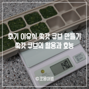 후기 이유식 쑥갓 큐브 만들기 다양한 이유식 큐브의 활용