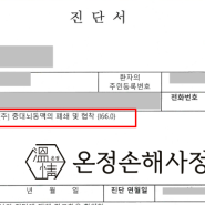 대뇌동맥의 폐쇄 및 협착 I66 보험금 지급 사례 실제 서류