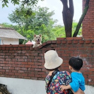 잘 하고 싶은걸까, 쉬고 싶은 걸까 나도 내 마음을 모르겠어. 직장인 일상