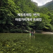 계곡트레킹 1번지 아침가리계곡에서 다이나믹한 트레킹 경험하기