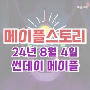 [이벤트] 메이플스토리 2024년 8월 4일 썬데이메이플