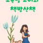 하나의 시선 책방 산책