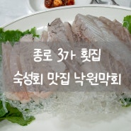 종로3가역 횟집 낙원막회 야장 식당 종로횟집 종로3가 맛집