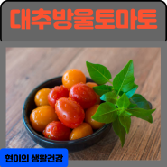 대추방울토마토 효능 부작용 : 1개 칼로리