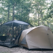 Greenbelt Park Campground, Greenbelt, MD_20240615